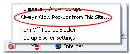 internet explorer settings popup